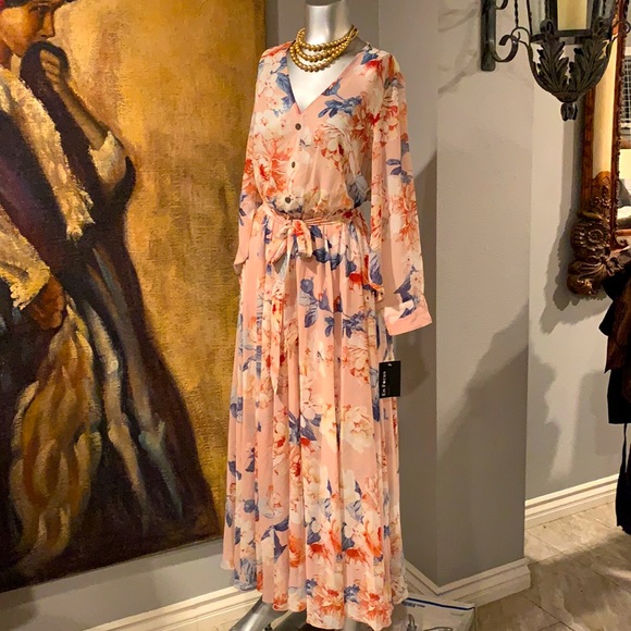 Enfocus Studio Dresses & Skirts - NWT EnFocus Studio Floral Print Dress.  8P